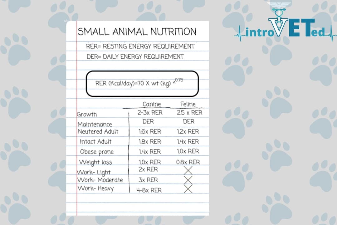 Vet School Sticker Vet School Notes Sticker Vet School Study Etsy