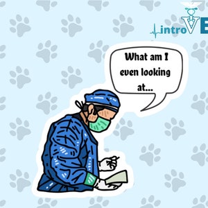 What Am I Even Looking At Sticker,Doctor Sticker,Vet Sticker,Medical Student Sticker,Surgeon Sticker,Surgery Sticker,Funny Surgeon Sticker.