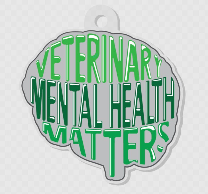 Key Chain Veterinary Veterinary Mental Health Matters Keychain,veterinary Keychain ...