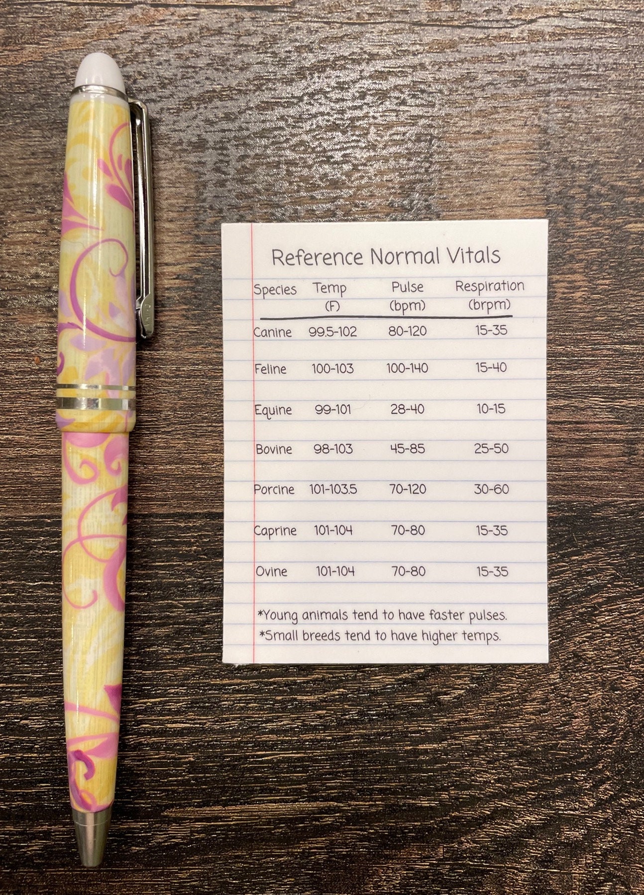 Vet School Sticker Vet School Notes Sticker Vet School Study Etsy