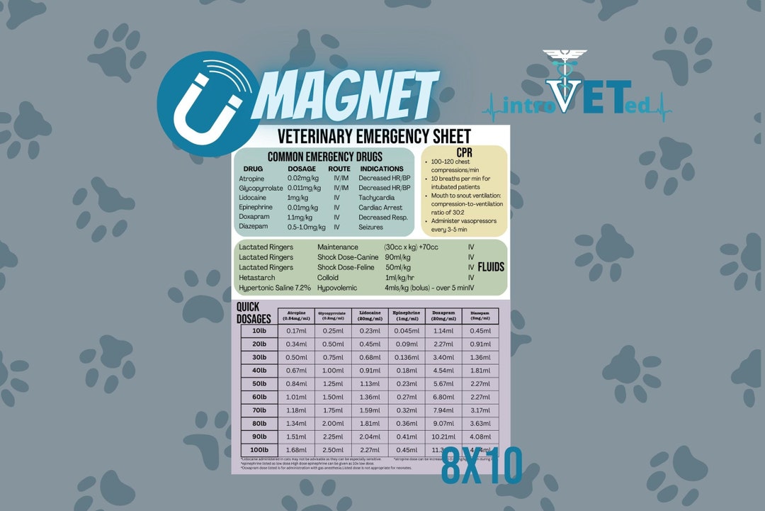 SA Emergency Chart Emergency Drug Chart,vet Student