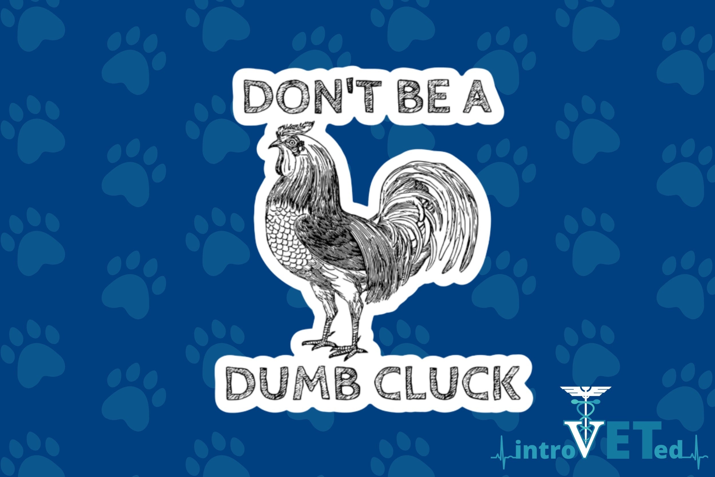 DON'T BE A CHICKEN LOLLIPOP Sticker for Sale by Princez21