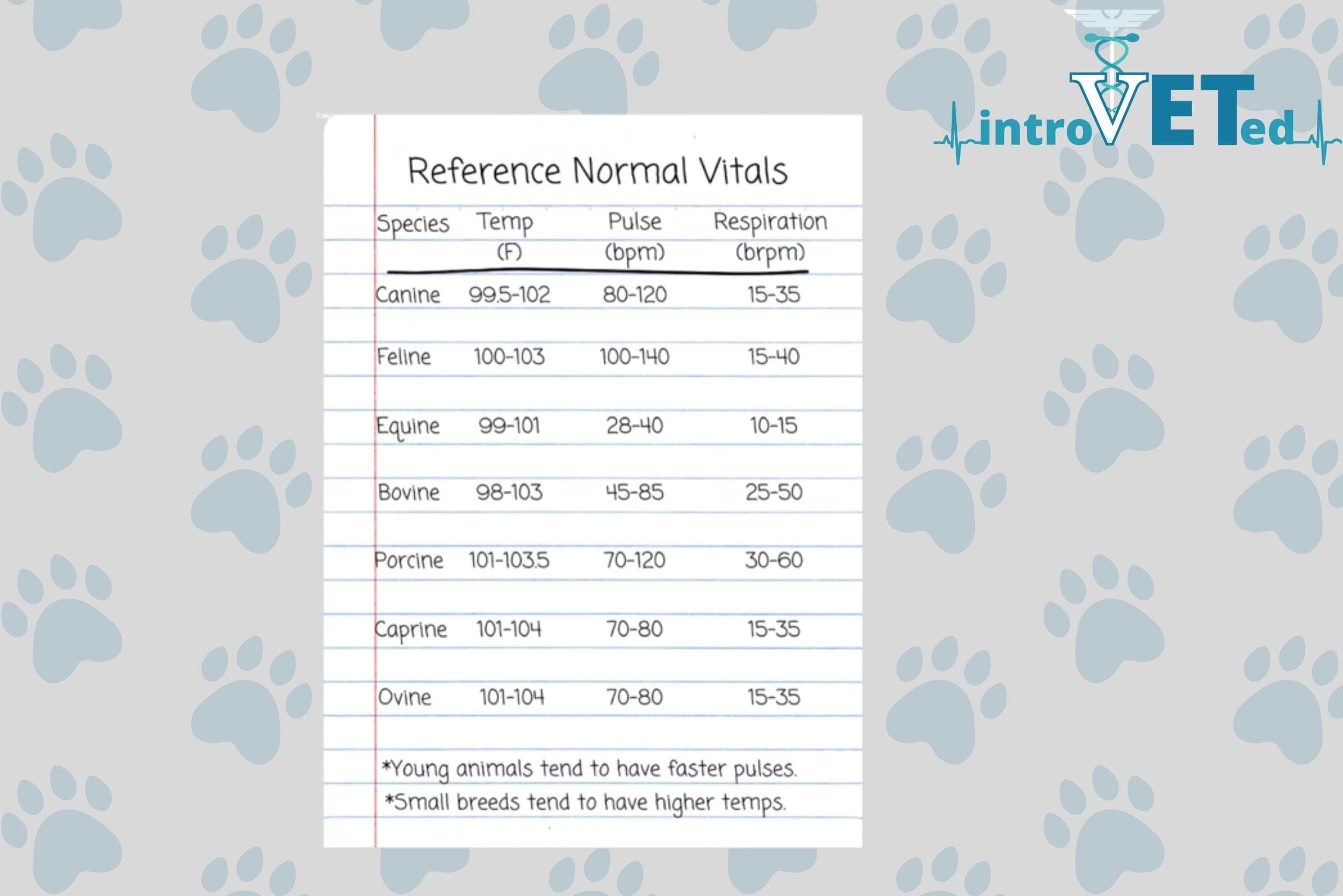 Vet School Sticker Vet School Notes Sticker Vet School Study Etsy