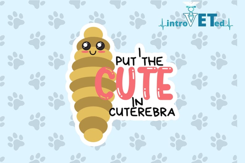 I Put The Cute In Cuterebra Sticker,Veterinarian Sticker,Vet Tech Sticker,Vet Nurse Sticker,Vet Student Sticker,Bug Sticker,Insect Sticker. image 1