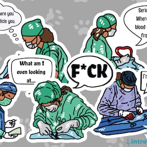 Female Surgeon Sticker 5-pack,Female Doctor Sticker,Woman in Medicine,Female Surgeon Sticker,Medical Humor,Funny Doctor Sticker,Veterinarian