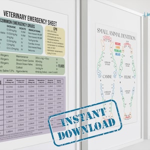 Small Animal Veterinary Digital Download Set,Veterinary Printable Set,Canine and Feline Dentistry,Small Animal Emergency,Small Animal Cardio