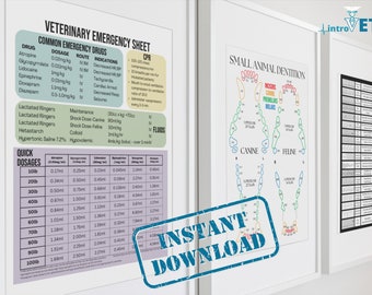 Small Animal Veterinary Digital Download Set,Veterinary Printable Set,Canine and Feline Dentistry,Small Animal Emergency,Small Animal Cardio
