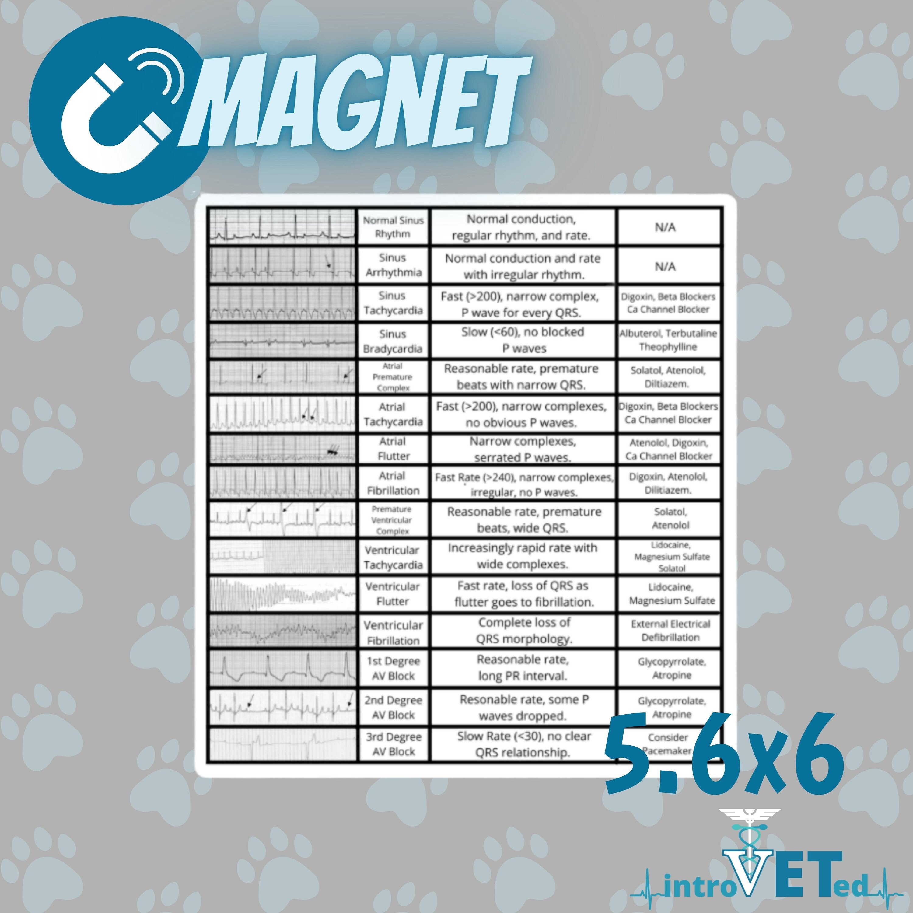 Recover Veterinary Rythym Chart Veterinary ECG Tracings Chart Magnet,veterinary Cardiology Chart,vet ...