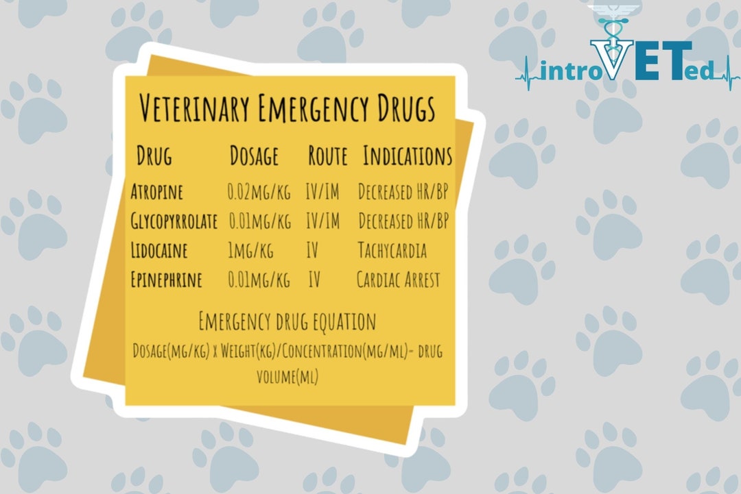 Vet School Sticker Vet School Notes Sticker Vet School Study Etsy