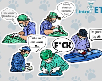 Surgeon Sticker 5-pack,Funny Doctor Sticker Pack,Surgeon Stickers,Veterinarian Stickers,MD Stickers,DVM Stickers,Medical Humor Stickers,Vet