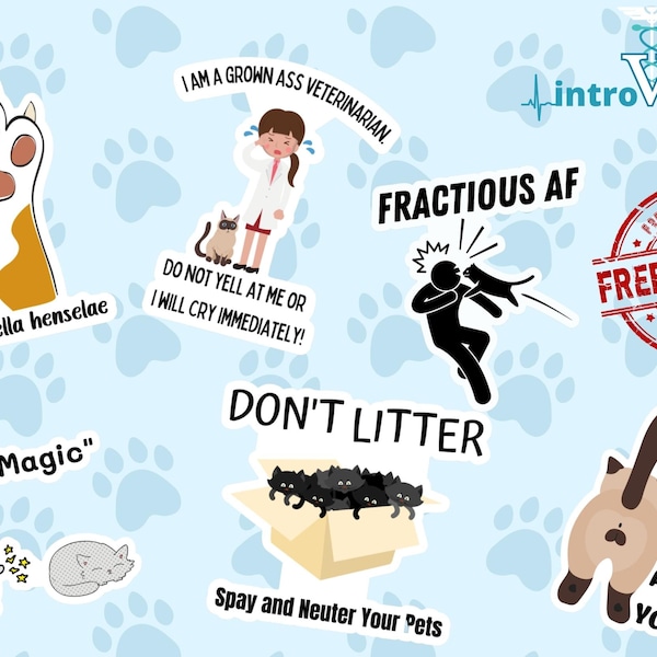 Cat Sticker Pack-Set of 6,Veterinarian Stickers,Vet Tech Stickers,Vet Student Stickers,Cat Stickers,Vet Nurse Stickers,DVM Stickers,Vet Med