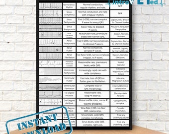 Veterinary ECG Chart Digital Download,Veterinary Cardiac Chart Printable,Veterinary Cardiology Download,Veterinary EKG Chart Printable File.