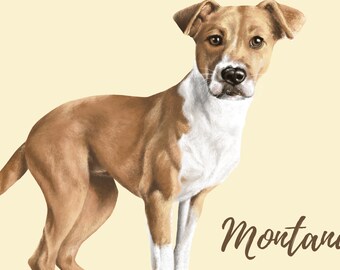 Custom Dog Portrait, Realistic Pet Portrait, Keepsake Gift, Dog Mom Gift