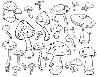 Mushroom Print, Mushroom Illustration, Digital Art, Scientific Illustration, Mushroom Art