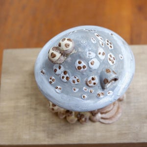 May include: A mushroom-shaped figurine with a light gray cap featuring white and brown circular spots. The top of the cap has two small protruding mushroom accents and a small arched opening. The base is textured with brown and tan circular details.