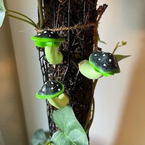 Pilz-Kühlschrank-Magnete - handgemachte Tonpilze in den Grün-Schwarz-, Türkis- und Rot-Toadstool-Stilen