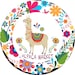 Kika Alpaca