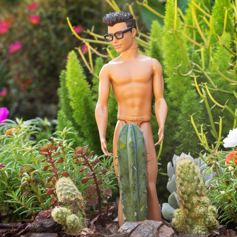 Gay Toy - Etsy