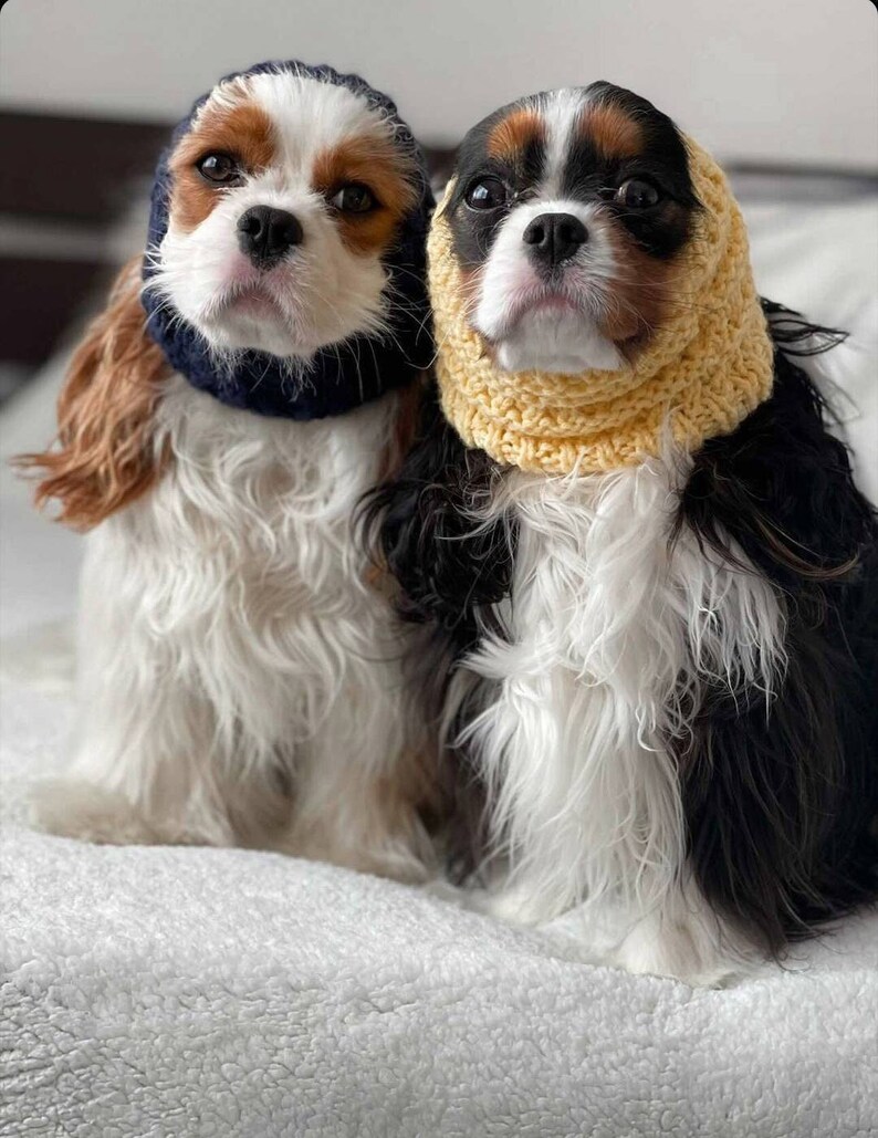 Classic Handmade Dog Snoods MADE IN IRELAND image 2