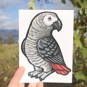 African Grey Parrot Vinyl Sticker for cars, trucks, laptops: Gift for Gray bird lovers, vet techs, veterinarians, zookeepers