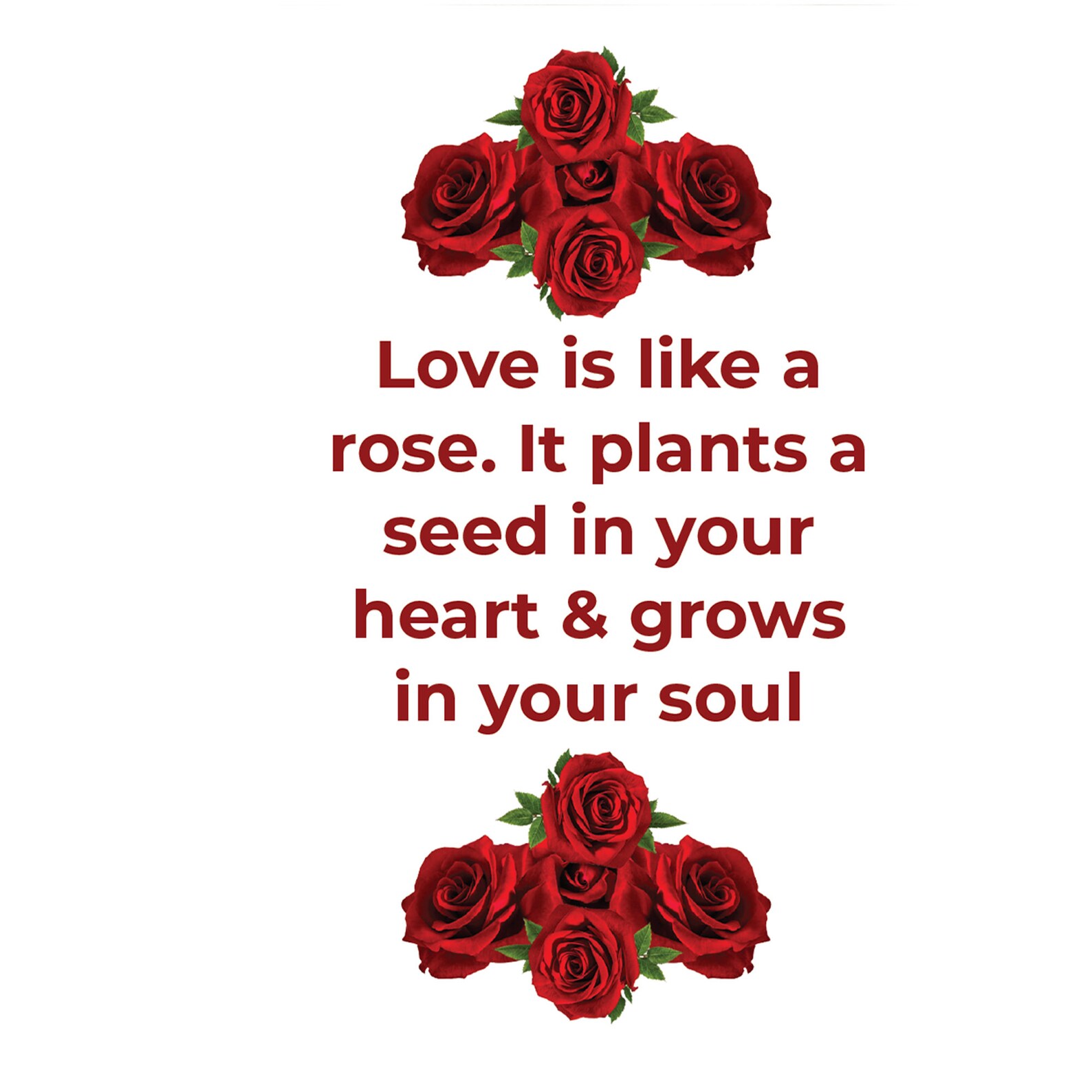 Love is like a Rose Etsy