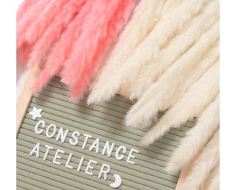 May include: A green letter board with the text "CONSTANCE ATELIER" spelled out in white letters. A pink and a white pampas grass plume are displayed above the letter board.