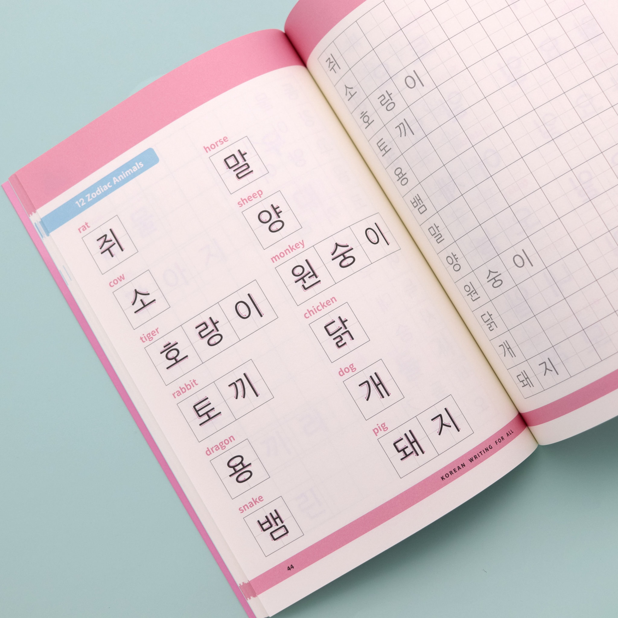 Korean Writing for All Textbook Soo and Carrots Etsy