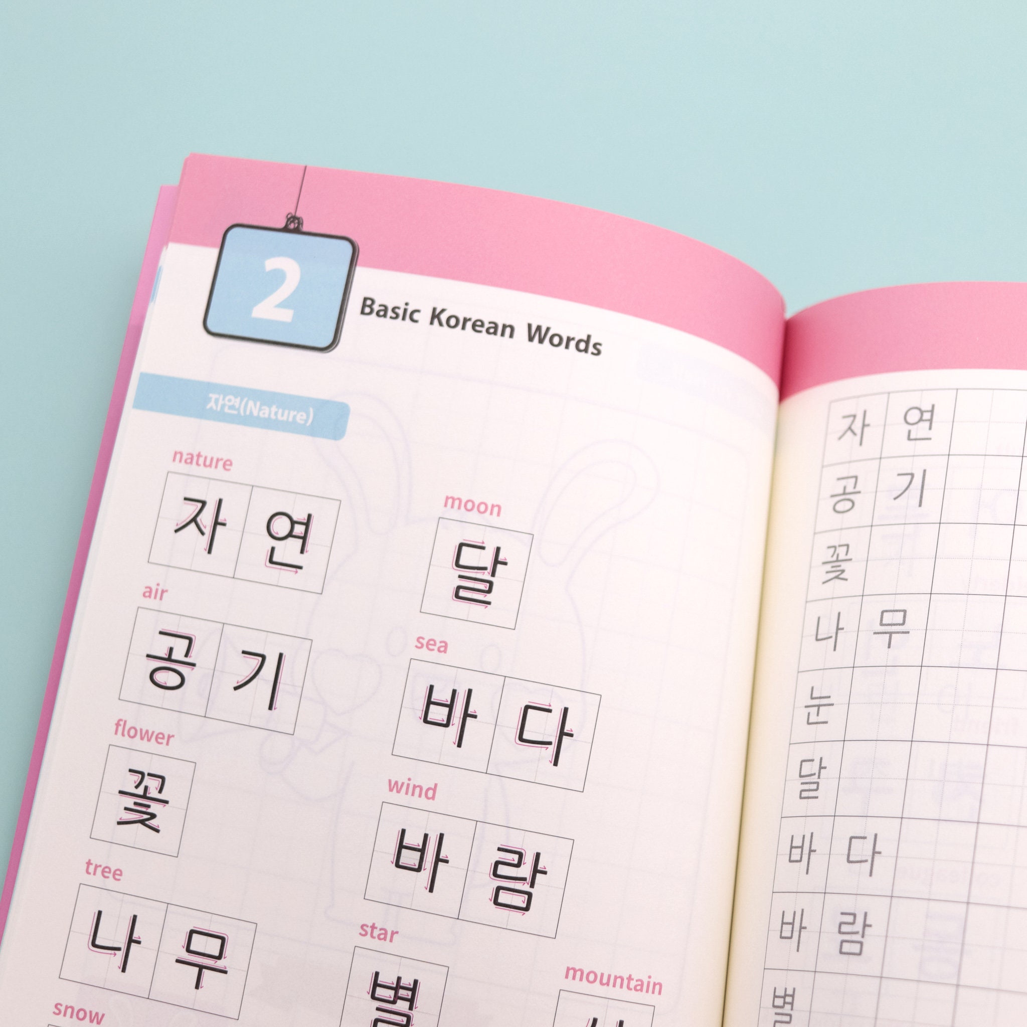 Korean Writing for All Textbook Soo and Carrots Etsy