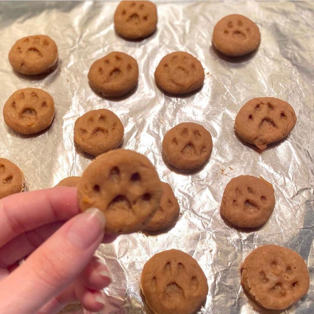 Homemade Dog Treats Etsy