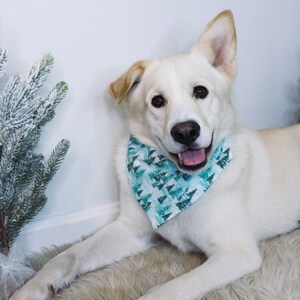 Winter wonderland | Over the collar dog bandana
