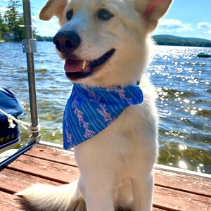 High tides and good vibes | Over the collar bandana