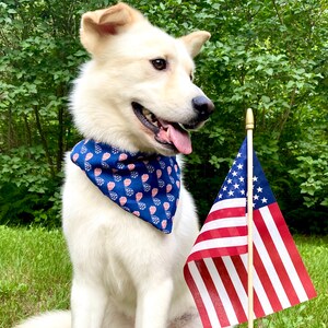 Young, wild, & free | Over the collar dog bandana
