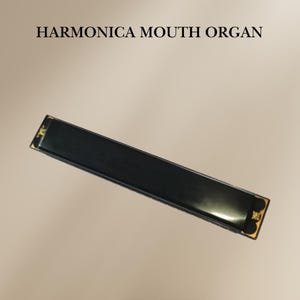 Órgão de Boca Diatônico Harmônica | Presente Musical Perfeito para Ele – Instrumento para Iniciantes