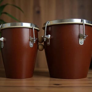 May include: Two brown conga drums with silver rims and hardware. The drums are cylindrical with a slightly tapered shape. Wooden accents are visible on the sides. The drums are set against a wooden background with plants in the background.