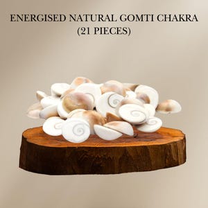 Gomti Chakra Shell Set – 21 Sacred Sea Shells for Puja, Healing & Decoration