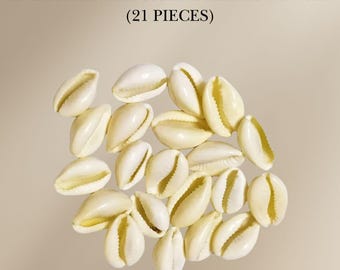 Cowrie Sea Shells (Pack of 21) – Kaudi Kawri Kori Shells for Puja, Decor & Crafts