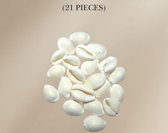 Cowrie Sea Shells (Pack of 21) – Kaudi Kawri Kori Shells for Puja, Decor & Crafts