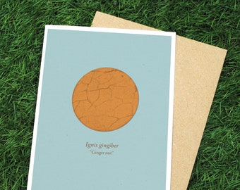 Gingernut biscuit card - greetings / birthday - vintage scientific illustration style