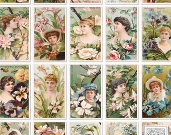 Vintage | Floral Beauties 02 Digital Printable Mini Tea Cards - Junk Journal Ephemera, Digital Download, Printable ATC, Scrapbooking