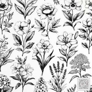 40 ilustraciones de flores de estilo vintage - Floriografía (PNG) - Junk Journal Ephemera, descarga digital, PNG transparentes, imágenes prediseñadas