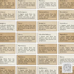 40 floriografías (significados de las flores) Palabras y significados imprimibles con temas: efímeras rústicas vintage, diario basura, álbum de recortes, manualidades con papel