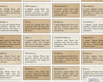 Floriography Printable: Vintage Flower Meanings Ephemera (PDF Download)