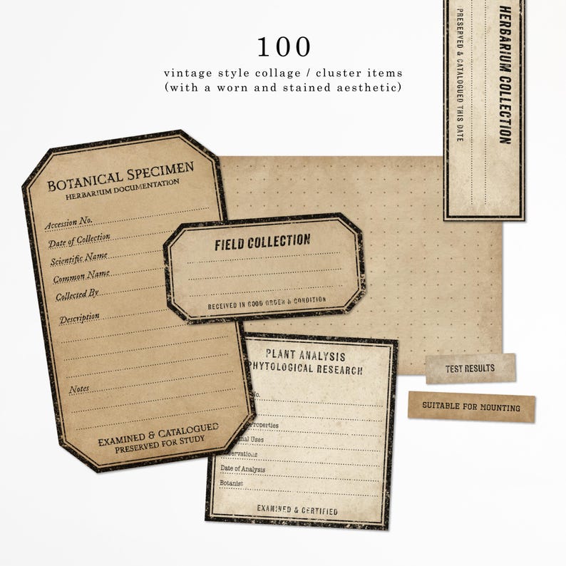Vintage Science Botany Labels Pngs: Printable Ephemera for Junk ...