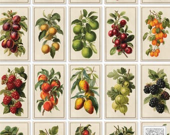Vintage Fruit Mini Tea Cards – Printable Junk Journal Ephemera (Digital Download)