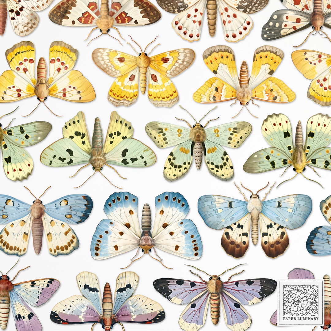 Vintage Moths Printable Fussy Cut Set Junk Journal Collage, Digital ...