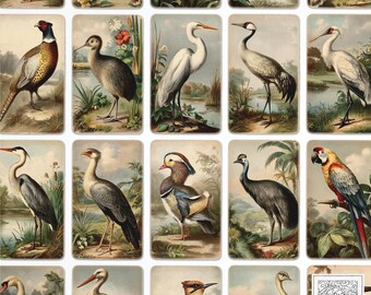 Vintage Birds Mini Tea Cards – Printable Junk Journal Ephemera (Digital Download)