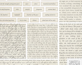 Puede incluir: Un farol de papel de estilo vintage con un diseño floral y el texto "Paper Luminary" impreso en la parte inferior. El farol de papel es blanco con un fondo marrón claro y presenta un delicado diseño floral en el centro.