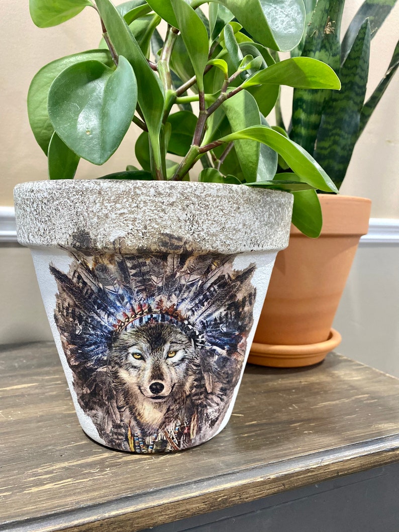 Aboriginal Wolf, Hand Painted Terracotta Pot, Planter, Native Wolf