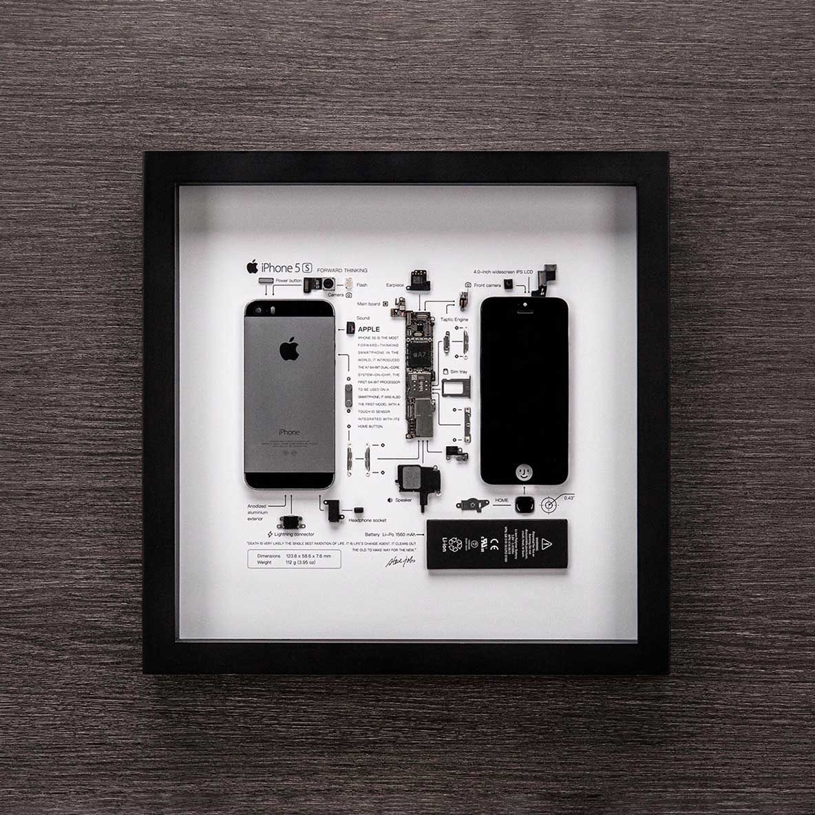 フレーム付きiPhone 5S分解写真 iPhoneウォールアート テック
