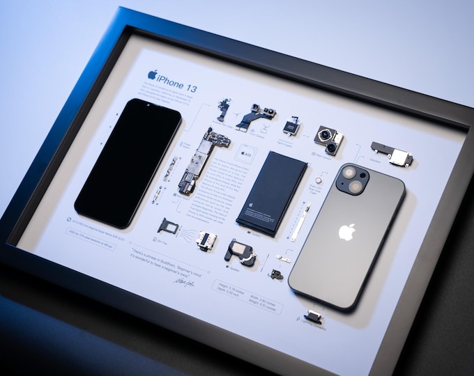 Disassembled iPhone Framed Art: Tech Lover Gift